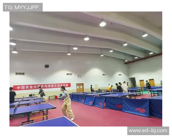 成都乒乓球队逆袭之旅挑战赛特别报道展现拼搏精神与团队力量