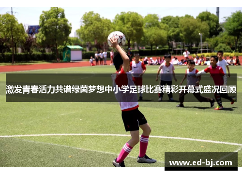 激发青春活力共谱绿茵梦想中小学足球比赛精彩开幕式盛况回顾