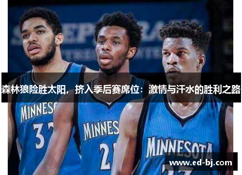 森林狼险胜太阳，挤入季后赛席位：激情与汗水的胜利之路