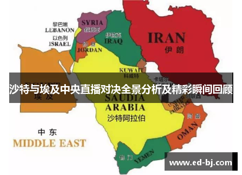 沙特与埃及中央直播对决全景分析及精彩瞬间回顾
